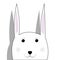 RabbitCute smiling rabbit vector cartoon illustration. Wild zoo animal character. Fluffy adorable pet looking straight. Forest fau