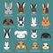 Rabbits breeds set