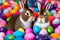 Rabbits with colorful Easter eggs