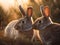 Rabbits at Dusk: A Tender Moment in the Twilight