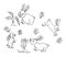 Rabbits smell flowers and catch butterflies. Hand drawing black line. A hare is a wild animal