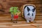 Rabbits on wooden floors carrots, cucumbers, tomatoes and barrels on wooden floors