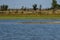 Rabisha lake and group of great heron or grane