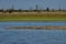 Rabisha lake and three heron bird relax at the water s peninsula and two flying toward shore
