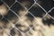 Rabitz. mesh netting,, barrier on way. metal grid close-up. rusty mesh texture