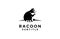 Raccoon black logo icon designs  illustration silhouette