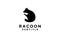 Raccoon black logo icon designs  illustration silhouette