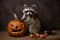 a raccoon with a carved pumpkin