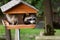 Raccoon climbs into bird feeder