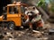 Raccoon collecting trash with toy truck