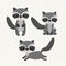 Raccoon cute wildlife icon