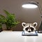 Raccoon diligently doing paper work at office desk