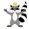 Raccoon gargle with a crown on the head illustration on white background in vector