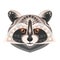 Raccoon Head Logo. Vector decorative Emblem.
