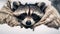 A raccoon hiding under a blanket in the snow. Generative AI image.