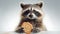 Raccoon Holding Cookie. On light background. Cute animal. Suitable for comedic content or illustrating food attraction