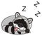 Raccoon lies and sleeps