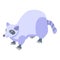 Raccoon mammal icon, isometric style