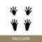 Raccoon mammal trace