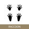Raccoon mammal trace