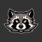 Raccoon mascot, Sport or esports racoon logo emblem