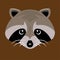 Raccoon, pretty face. Raccoon dog stylized portrait