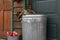 Raccoon (Procyon lotor) Looks Over Side of Garbage Can at Bucket of Apples