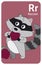 Raccoon R letter. A-Z Alphabet collection with cute cartoon animals in 2D. Raccoon standing and eating raspberries. Grey