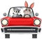 Raccoon and rabbit in classic red car on white background