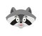 Raccoon scared OMG emotion. Racoon Oh my God emoji. Frightened Coon. Vector illustration