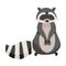Raccoon Specie with Striped Tail Standing on Hind Legs Vector Illustration