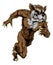 Raccoon sports mascot running