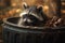 Raccoon in trash can leans out mouth open autumn. AI generated