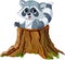 Raccoon in tree stump