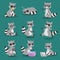 Raccoon vector illustration cartoon set of fun smile drawing artwork furry cartoon raccoon cute mammal. Wild tail nature