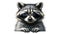 Raccoon Wearing Sunglasses Illustration on White Background