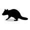 Raccoon wildlife black silhouette animal