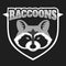 Raccoons head logo for sport club or team. Animal mascot logotype. Template. Vector illustration.