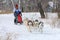 Race five dogs Siberian husky breed in winter during the Husky festival 2019 in Novosibirsk