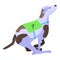 Race greyhound icon isometric vector. Animal pet