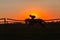 Race Horse Jockey Running Sunrise Silhouette