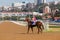 Race Horse Jockey Track