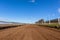 Race Horse Training Track Blue Sky