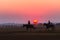 Race Horses Grooms Jockeys Training Dawn