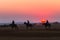 Race Horses Grooms Jockeys Training Dawn