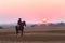 Race Horses Grooms Jockeys Training Dawn