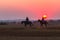 Race Horses Grooms Jockeys Training Dawn