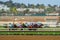 Race horses with jockey going towards finish line