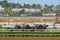 Race horses with jockey going towards finish line