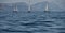 The race of sailboats, a regatta, reflection of sails on water, Intense competition, number of boat is on aft boats